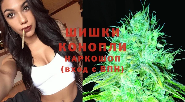 прущие грибы Беломорск