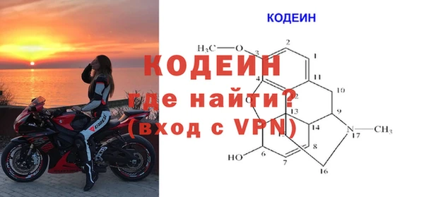 прущие грибы Беломорск