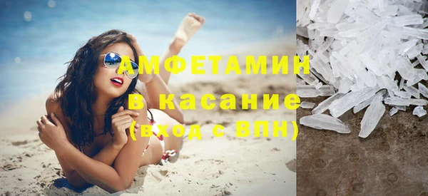 прущие грибы Беломорск