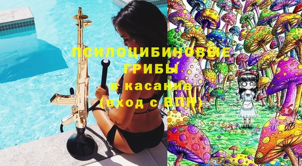 прущие грибы Беломорск