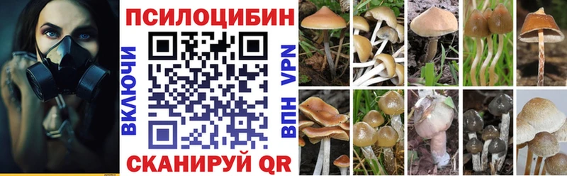 Псилоцибиновые грибы MAGIC MUSHROOMS  Купить  Аргун 